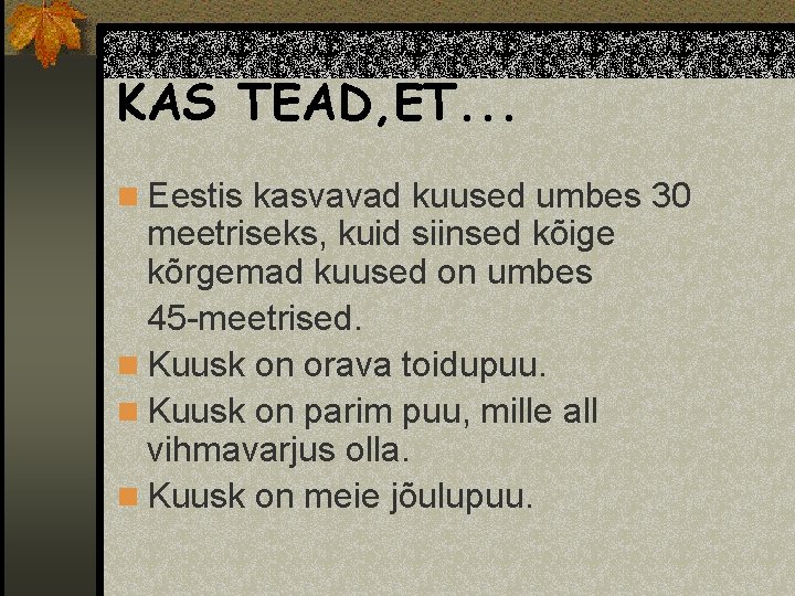 KAS TEAD, ET. . . n Eestis kasvavad kuused umbes 30 meetriseks, kuid siinsed