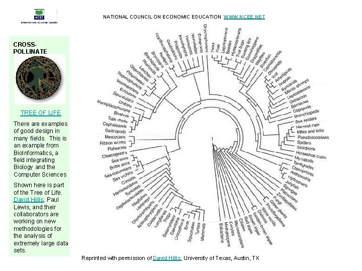 NATIONAL COUNCIL ON ECONOMIC EDUCATION WWW. NCEE. NET CROSSPOLLINATE TREE OF LIFE There are