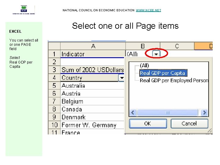 NATIONAL COUNCIL ON ECONOMIC EDUCATION WWW. NCEE. NET EXCEL You can select all or