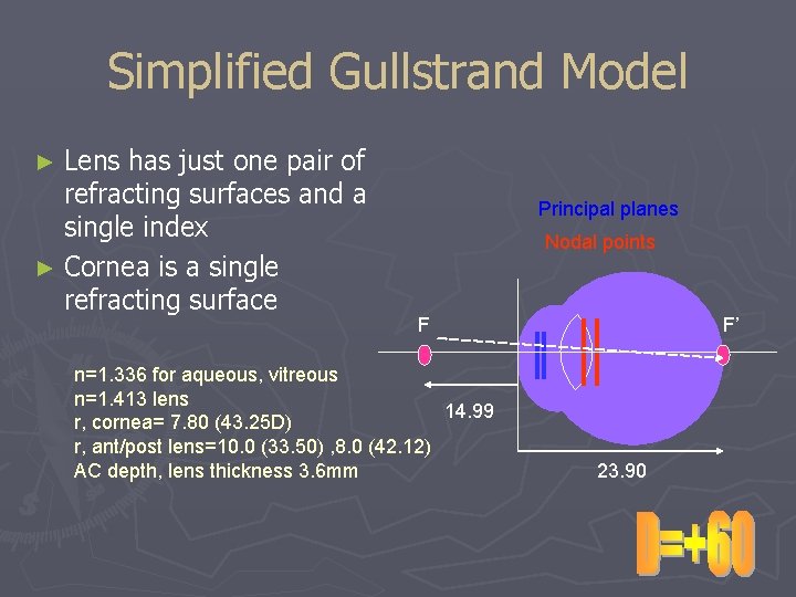 Simplified Gullstrand Model ► Lens has just one pair of refracting surfaces and a