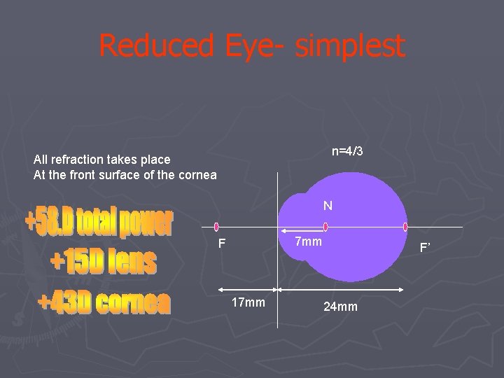 Reduced Eye- simplest n=4/3 All refraction takes place At the front surface of the