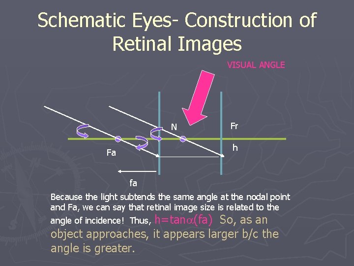 Schematic Eyes- Construction of Retinal Images VISUAL ANGLE N Fr h Fa fa Because