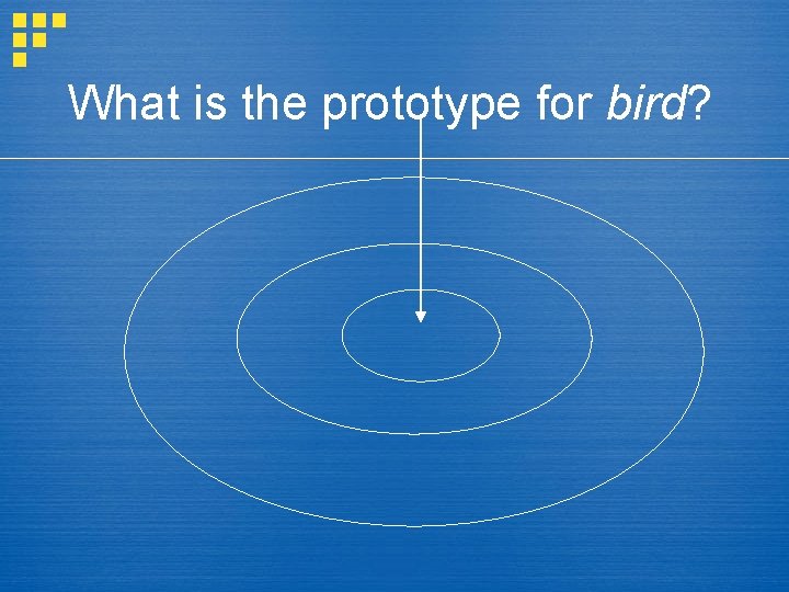 What is the prototype for bird? 