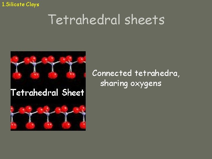 1. Silicate Clays Tetrahedral sheets Connected tetrahedra, sharing oxygens 