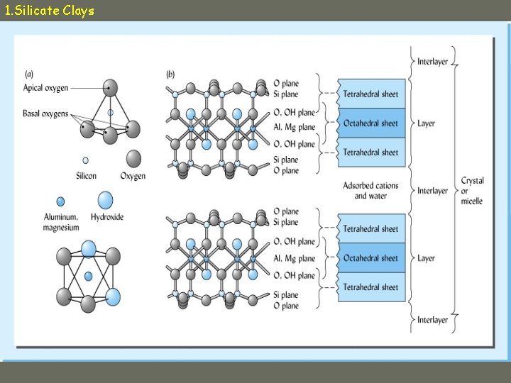 1. Silicate Clays 