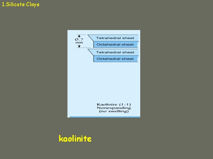 1. Silicate Clays kaolinite 