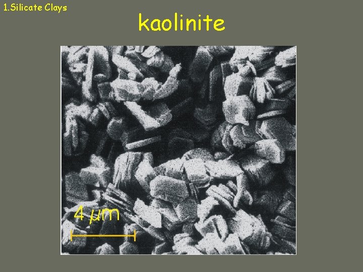 1. Silicate Clays kaolinite 