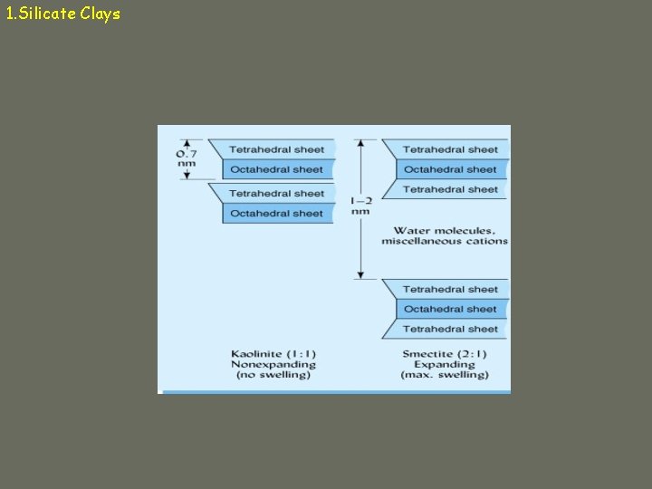 1. Silicate Clays 