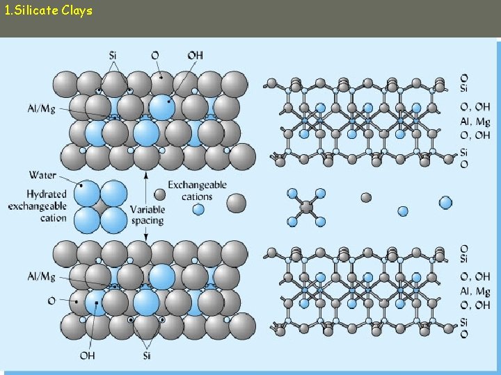 1. Silicate Clays 