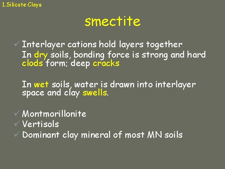 1. Silicate Clays smectite ü Interlayer cations hold layers together In dry soils, bonding