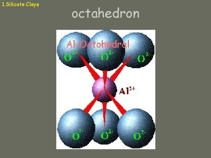 1. Silicate Clays octahedron 