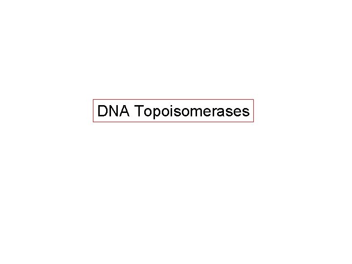 DNA Topoisomerases 
