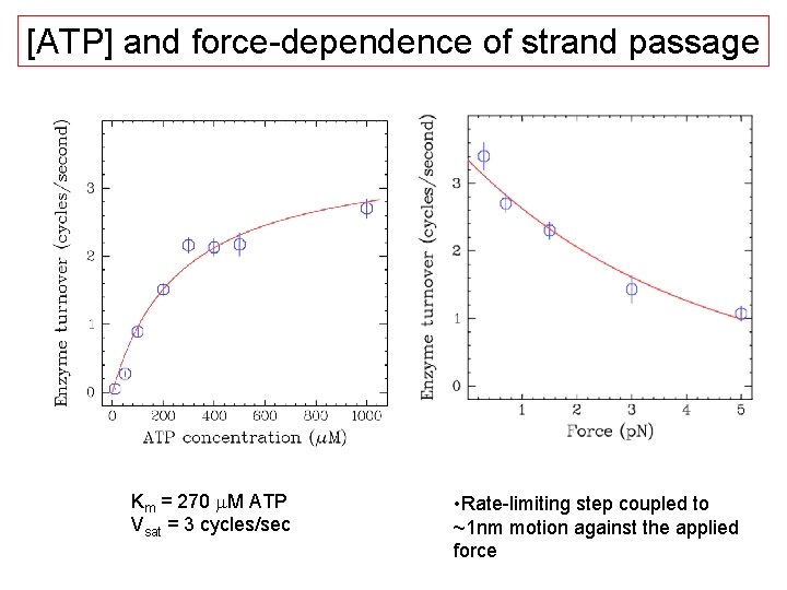 [ATP] and force-dependence of strand passage Km = 270 m. M ATP Vsat =