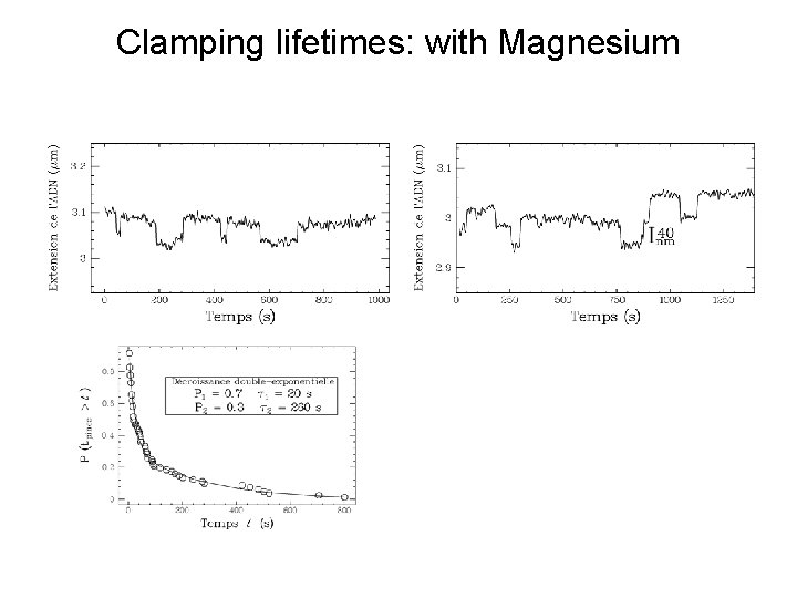 Clamping lifetimes: with Magnesium 