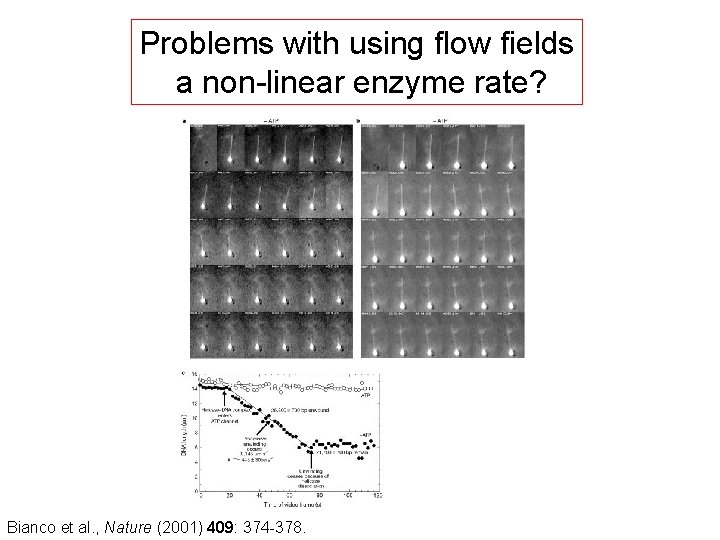Problems with using flow fields a non-linear enzyme rate? Bianco et al. , Nature