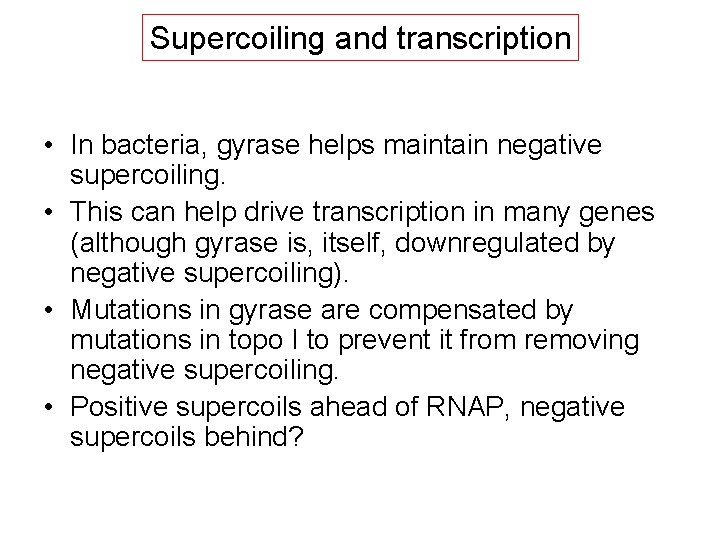 Supercoiling and transcription • In bacteria, gyrase helps maintain negative supercoiling. • This can