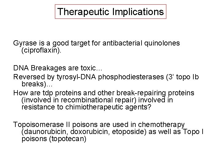 Therapeutic Implications Gyrase is a good target for antibacterial quinolones (ciproflaxin). DNA Breakages are