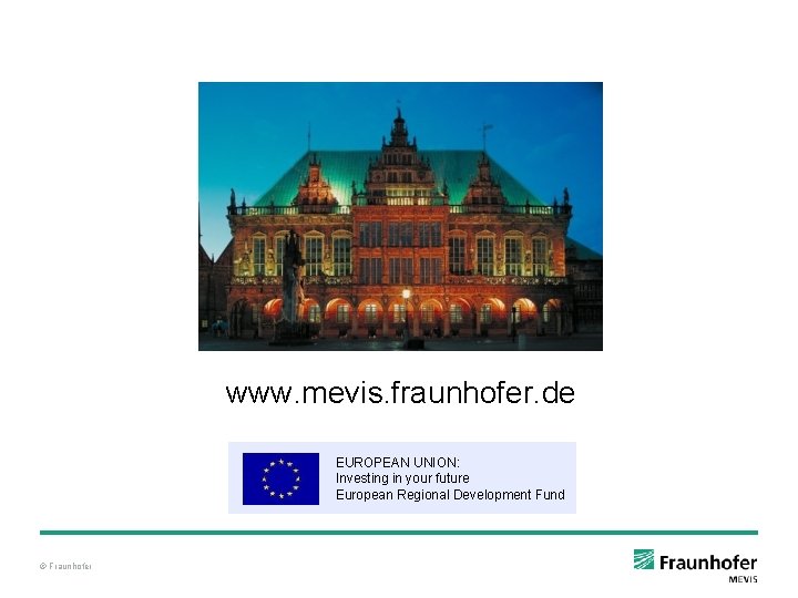 www. mevis. fraunhofer. de EUROPEAN UNION: Investing in your future European Regional Development Fund www. mevis. fraunhofer. de EUROPEAN UNION: Investing in your future European Regional Development Fund