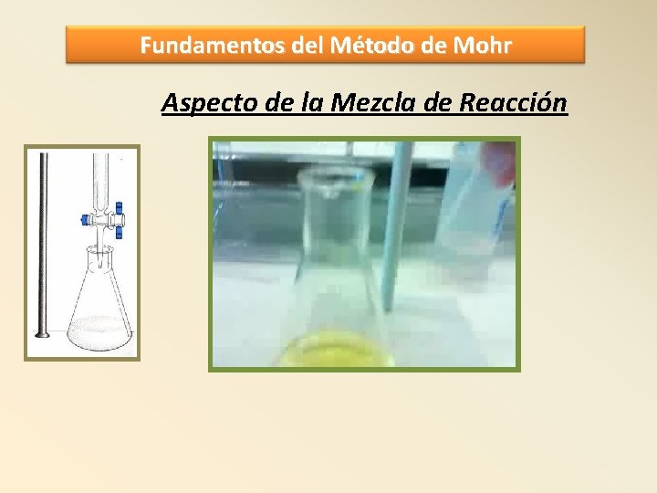 Fundamentos del Método de Mohr Aspecto de la Mezcla de Reacción 