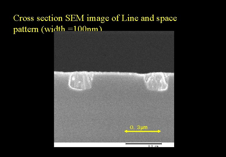 Cross section SEM image of Line and space pattern (width =100 nm) ０．３μm 