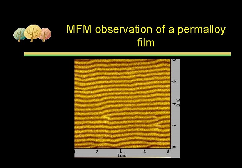 MFM observation of a permalloy film 