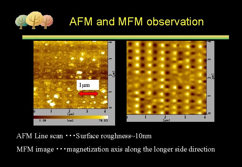 AFM and MFM observation 1μm AFM Line scan ・・・Surface roughness~10 nm MFM image ・・・magnetization