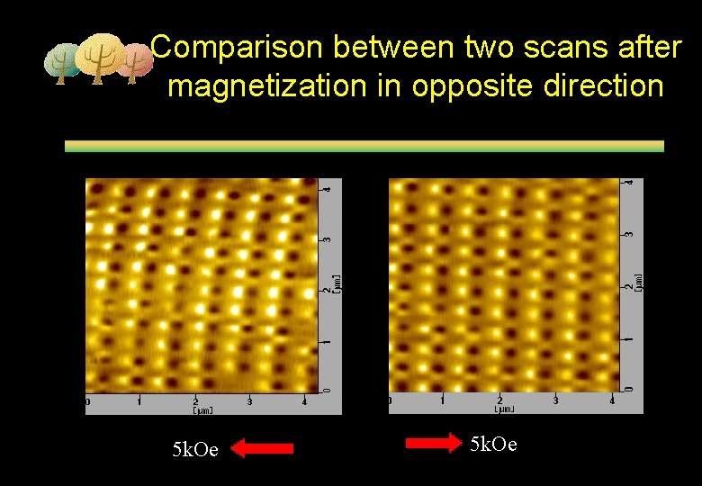 Comparison between two scans after magnetization in opposite direction 5 k. Oe 