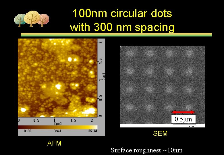 100 nm circular dots with 300 nm spacing 0. 5μm SEM AFM Surface roughness