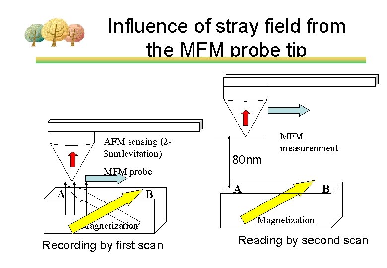 Influence of stray field from the MFM probe tip AFM sensing (23 nmlevitation) MFM
