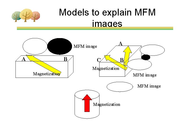 Models to explain MFM images MFM image A B A C B Magnetization MFM