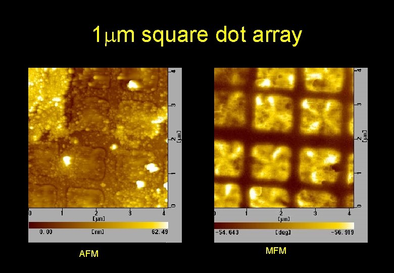 1 m square dot array AFM MFM 