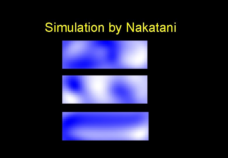 Simulation by Nakatani 