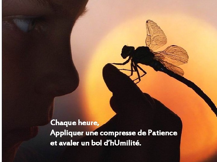 Chaque heure, Appliquer une compresse de Patience et avaler un bol d’h. Umilité. Chaque heure, Appliquer une compresse de Patience et avaler un bol d’h. Umilité.