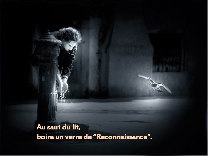 Au saut du lit, boire un verre de “Reconnaissance”. Au saut du lit, boire un verre de “Reconnaissance”.