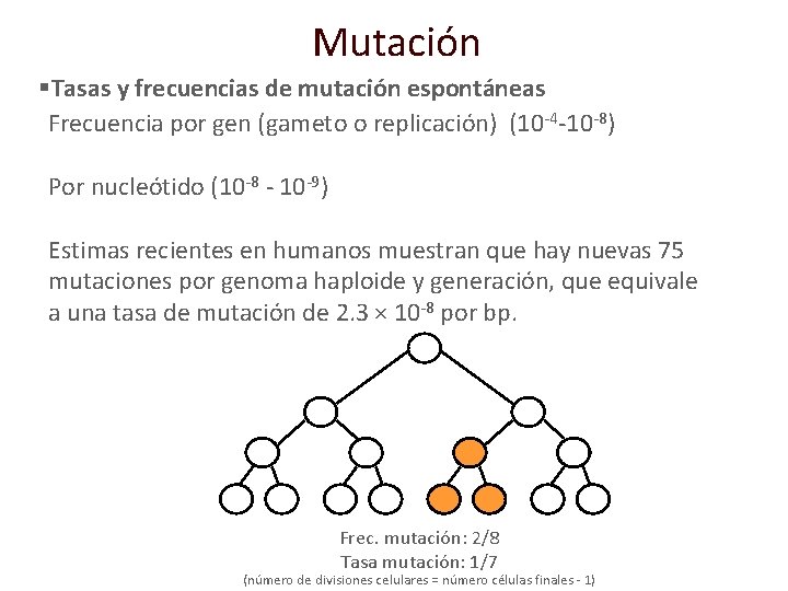 Mutación §Tasas y frecuencias de mutación espontáneas Frecuencia por gen (gameto o replicación) (10