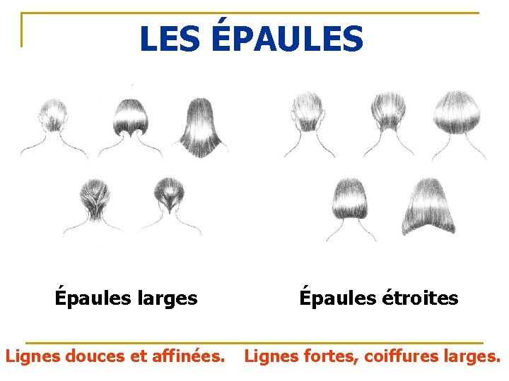 LES ÉPAULES Épaules larges Lignes douces et affinées. Épaules étroites Lignes fortes, coiffures larges.