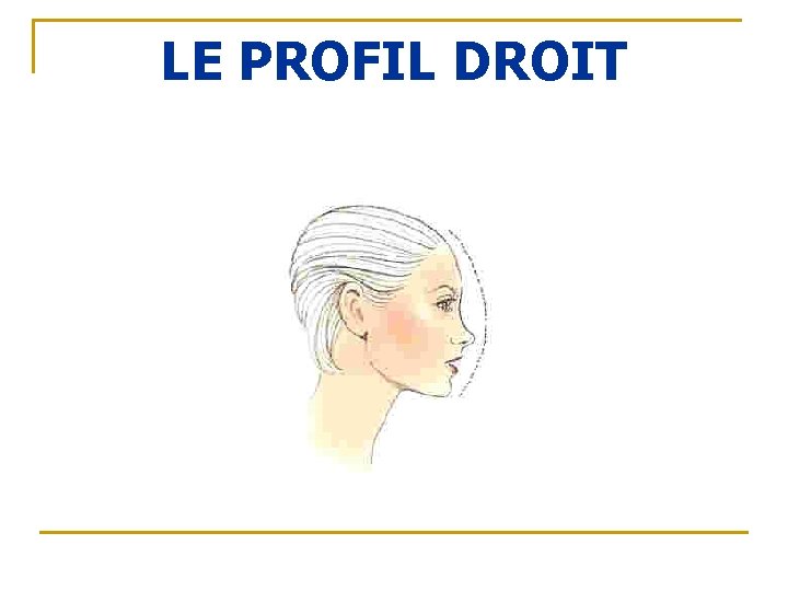 LE PROFIL DROIT 