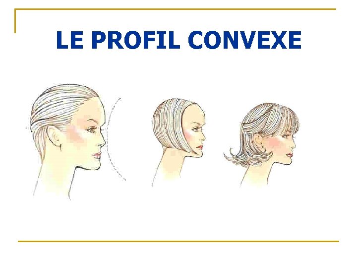 LE PROFIL CONVEXE 