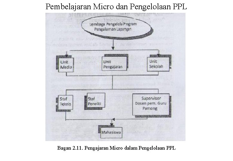 Pembelajaran Micro dan Pengelolaan PPL Bagan 2. 11. Pengajaran Micro dalam Pengelolaan PPL 