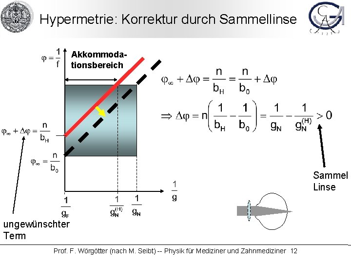 Hypermetrie: Korrektur durch Sammellinse Akkommodationsbereich Sammel Linse ungewünschter Term Prof. F. Wörgötter (nach M.