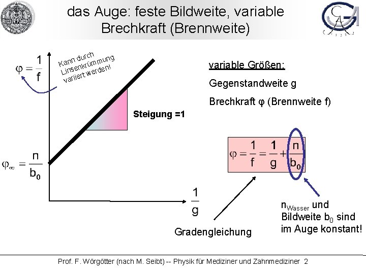 das Auge: feste Bildweite, variable Brechkraft (Brennweite) rch ung u d n Kan nkrümm