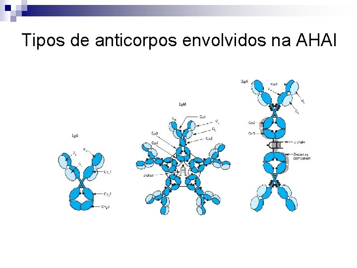 Tipos de anticorpos envolvidos na AHAI 