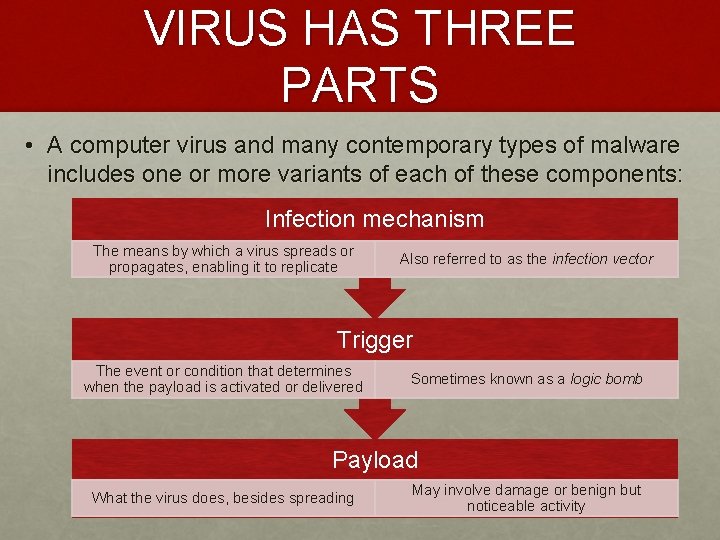 VIRUS HAS THREE PARTS • A computer virus and many contemporary types of malware