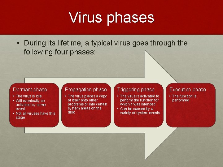 Virus phases • During its lifetime, a typical virus goes through the following four