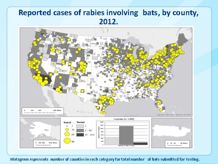 Rabies Surveillance In The United States During 2012