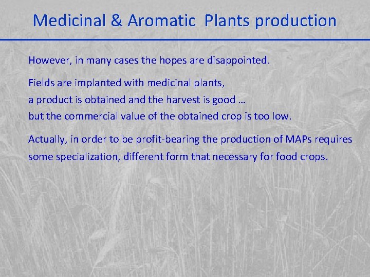 Medicinal & Aromatic Plants production However, in many cases the hopes are disappointed. Fields