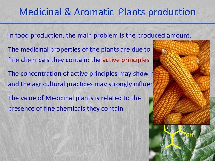 Medicinal & Aromatic Plants production In food production, the main problem is the produced