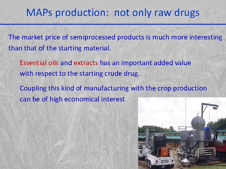 MAPs production: not only raw drugs The market price of semiprocessed products is much