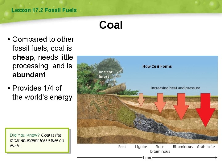 Lesson 17. 2 Fossil Fuels Coal • Compared to other fossil fuels, coal is