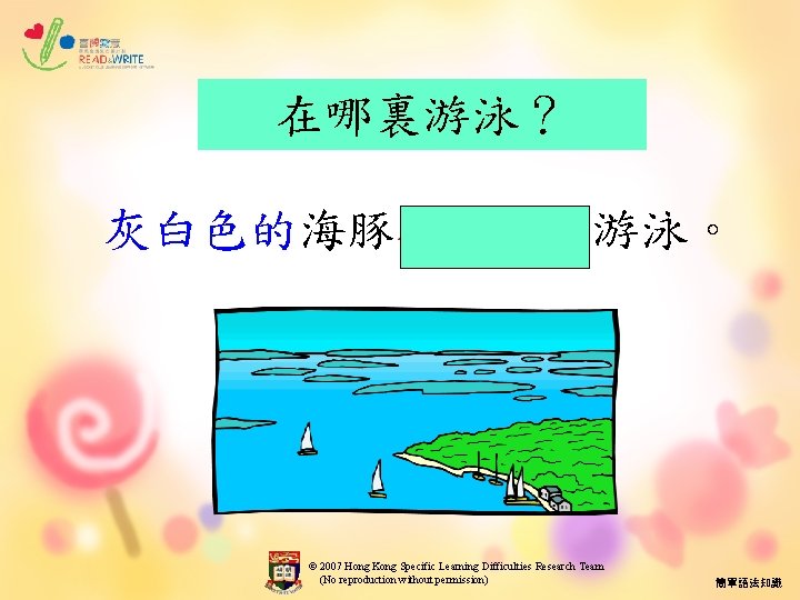 在哪裏游泳？ 灰白色的海豚在大海中游泳。 © 2007 Hong Kong Specific Learning Difficulties Research Team (No reproduction without